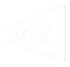 DisplayXR